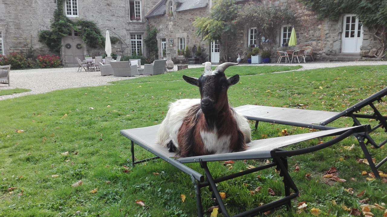 Manoir Du Quengo Bed and Breakfast Rohan Esterno foto